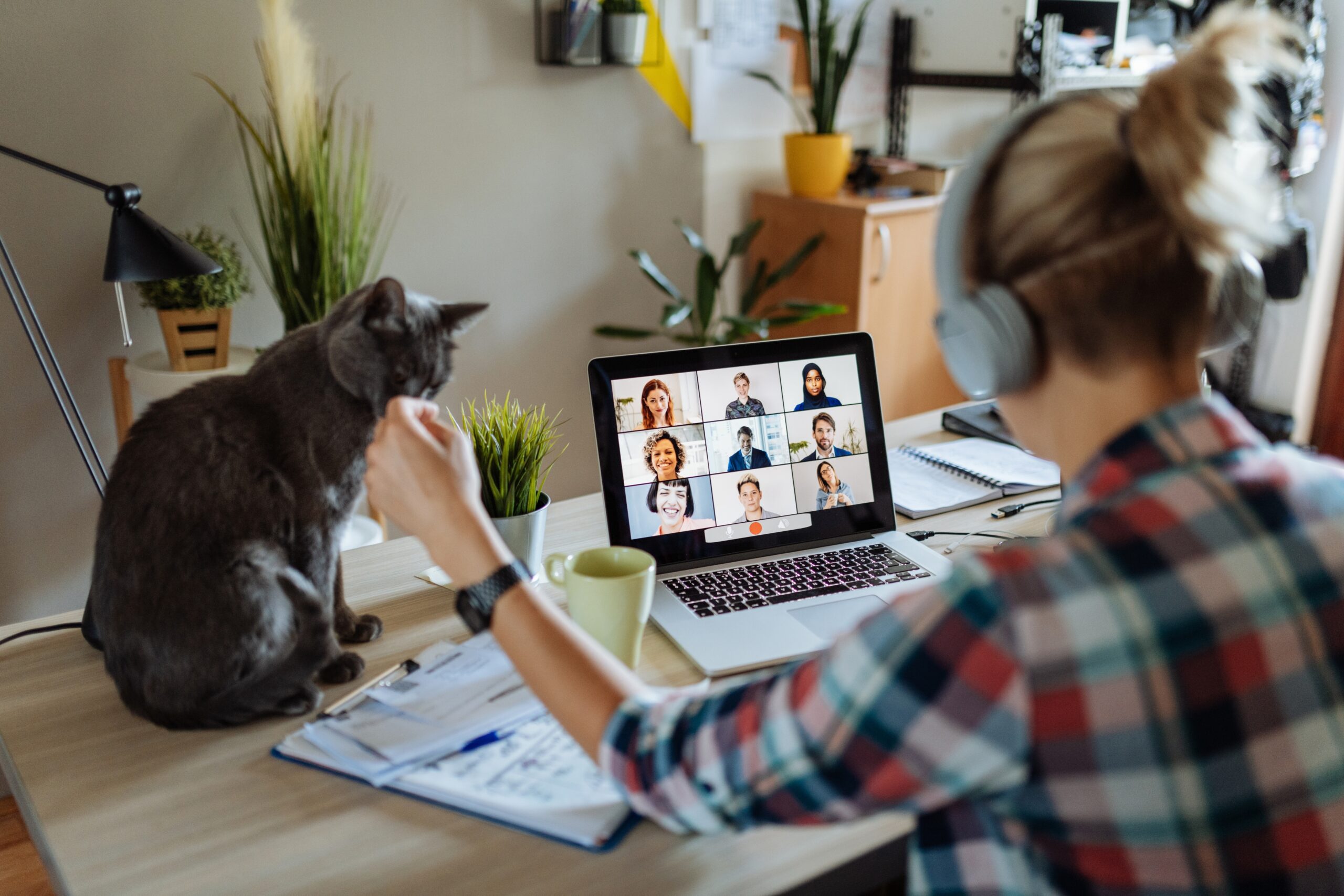 Woman working from home with cat