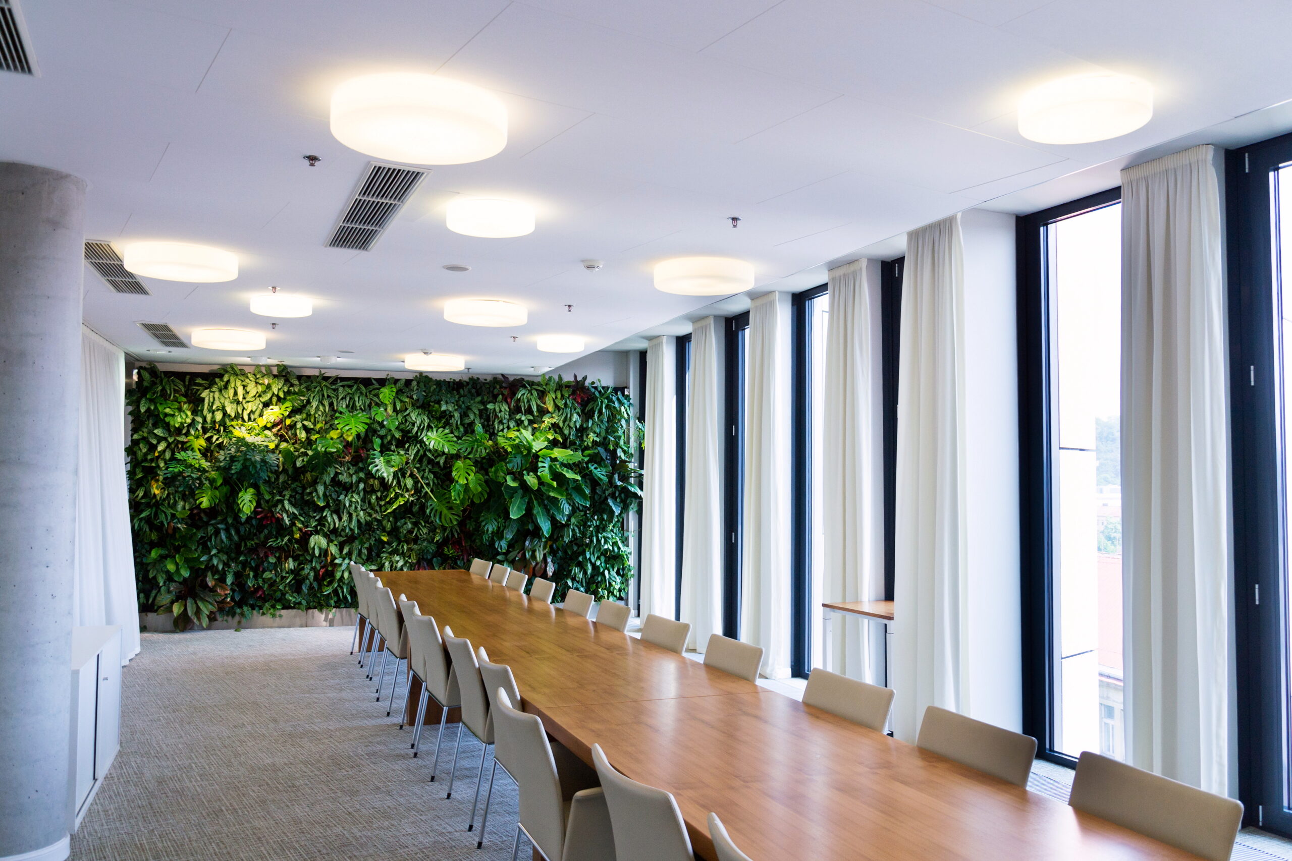 Living green wall, vertical garden indoors with flowers and plants under artificial lighting in meeting boardroom, modern office building