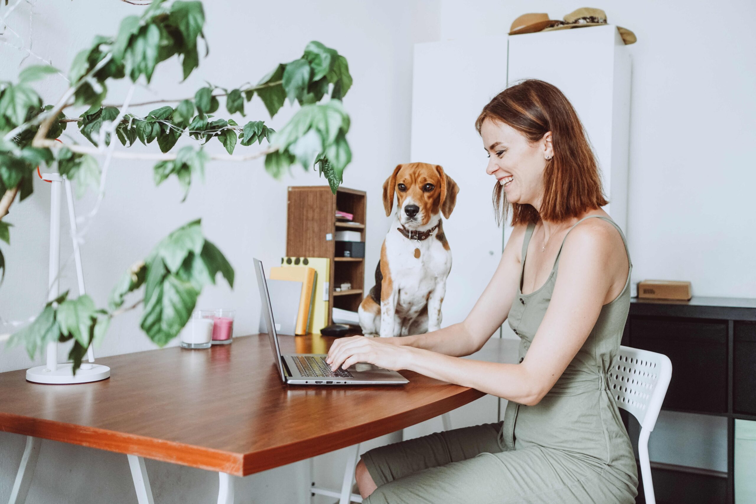 Working from home with dog on the desk